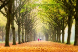 Picture of showing elderly couple walking in the forest for retirement spending blog post