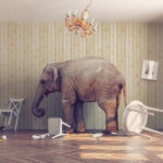 Nearly secret IRS personal wealthy study an elephant in the room?