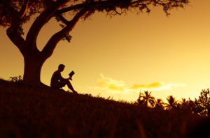 Picture of a man generating business education deductions by reading a book under a tree