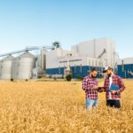 The Sec. 199A technical corrections fix the grain glitch