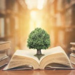 Picture of the tree of knowledge growing out a a book, a photo fro the Bogleheads three fund portfolio blog post