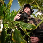 Picture of A soldier in a misty jungle.