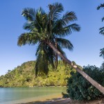Picture of tropical beach.