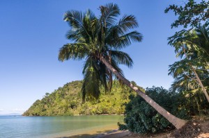 Picture of tropical beach for blog post about using S corporation for foreign employees