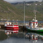Picture of boats in harbor