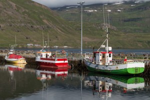 Picture of boats in harbor