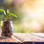 Picture of a small plant growing in a jar filled with coins