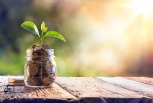 Picture of a small plant growing in a jar filled with coins