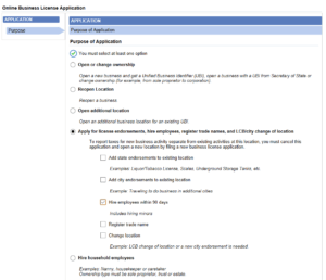 A screen capture of the first step of the MyDOR business license application. A radio button next to "Apply for license endorsements, hire employees, register trade names, and LCB/city change of location" has been selected, and underneath that, a checkbox labelled "hire employees within 90 days" has been selected.